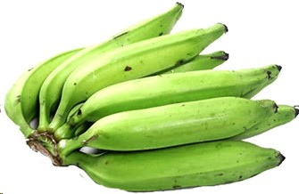 PLATANO CIBAO GRANDE