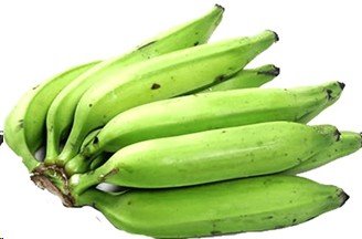 PLATANO CIBAO MEDIANO