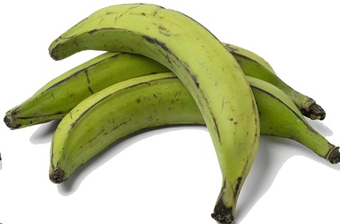 PLATANO FHIA  MEDIANO