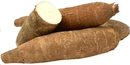 YUCA MOCANA