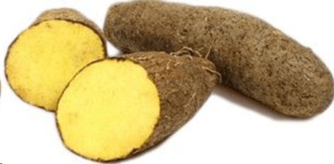 YAUTIA AMARILLA