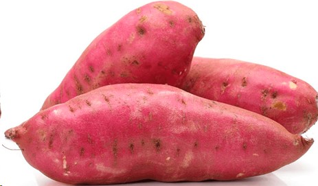 BATATA ROJA